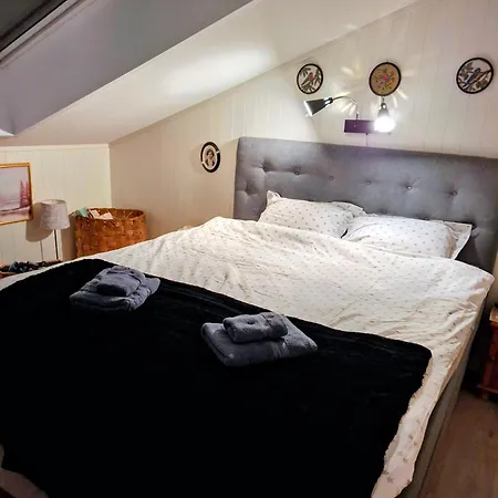 Very Equipped With Two Bedrooms In Gravdal, Vestvagoy - Lofoten!